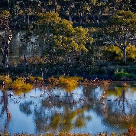 Riverview Rise Retreats Mannum Luaran gambar