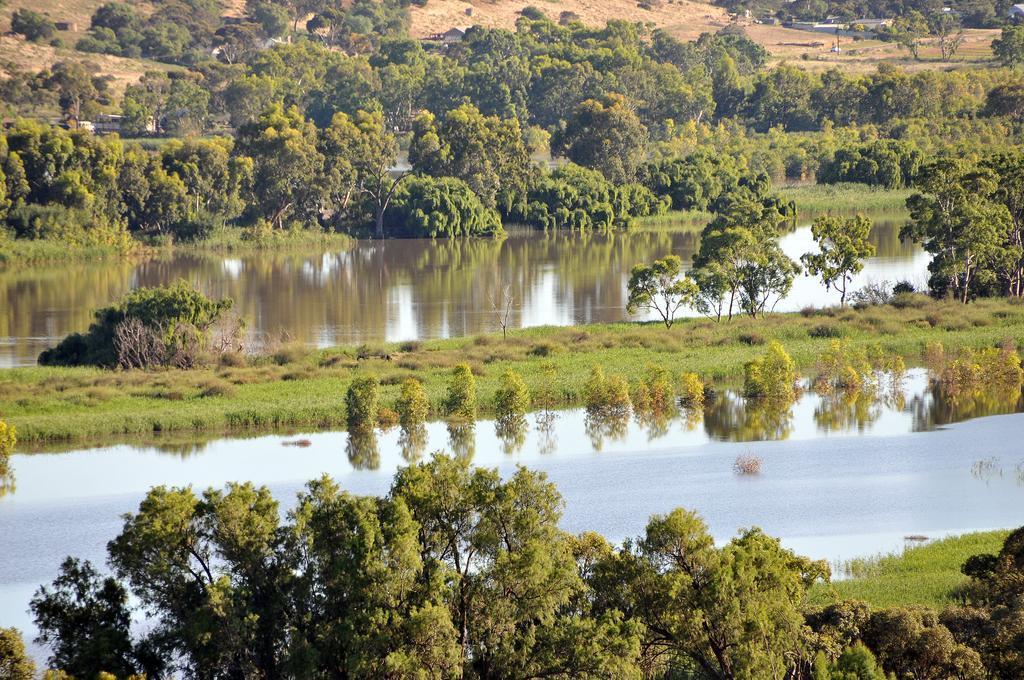 Riverview Rise Retreats Mannum Luaran gambar