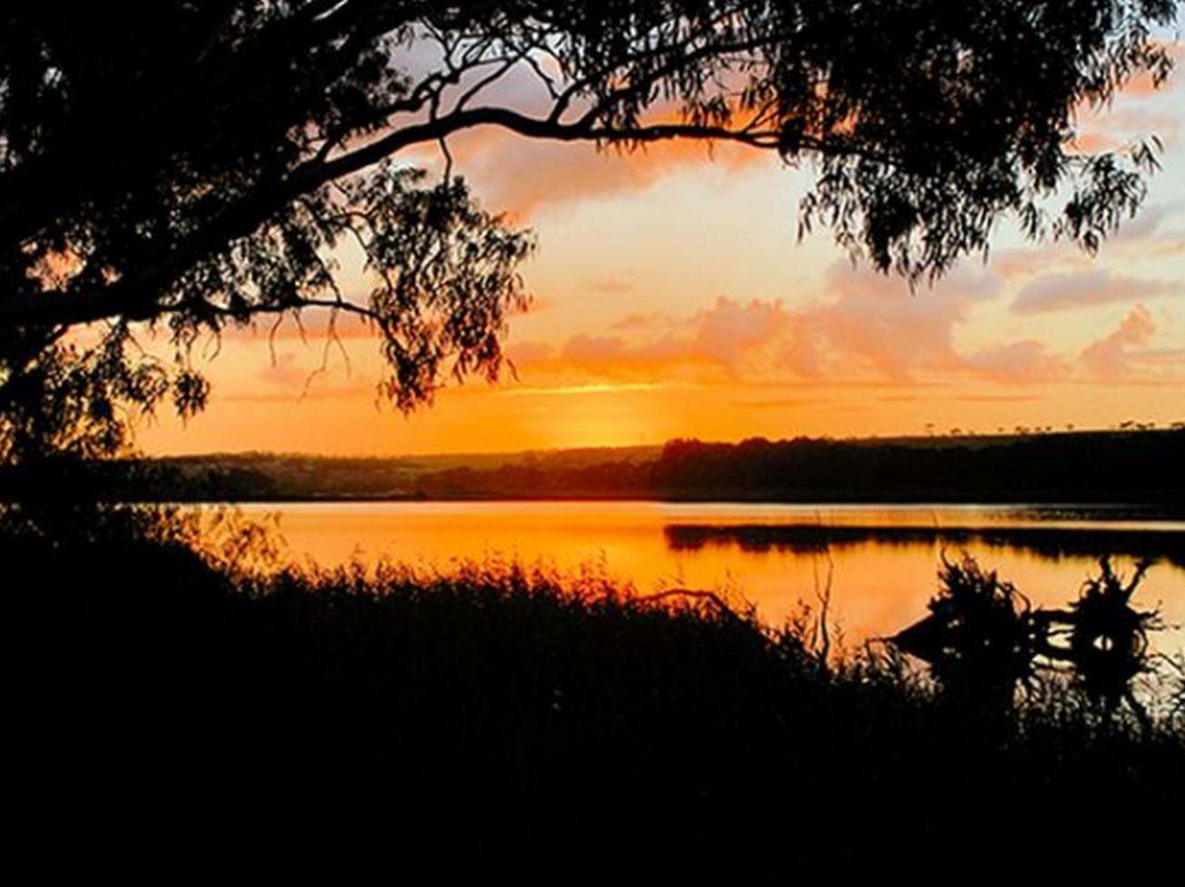 Riverview Rise Retreats Mannum Luaran gambar