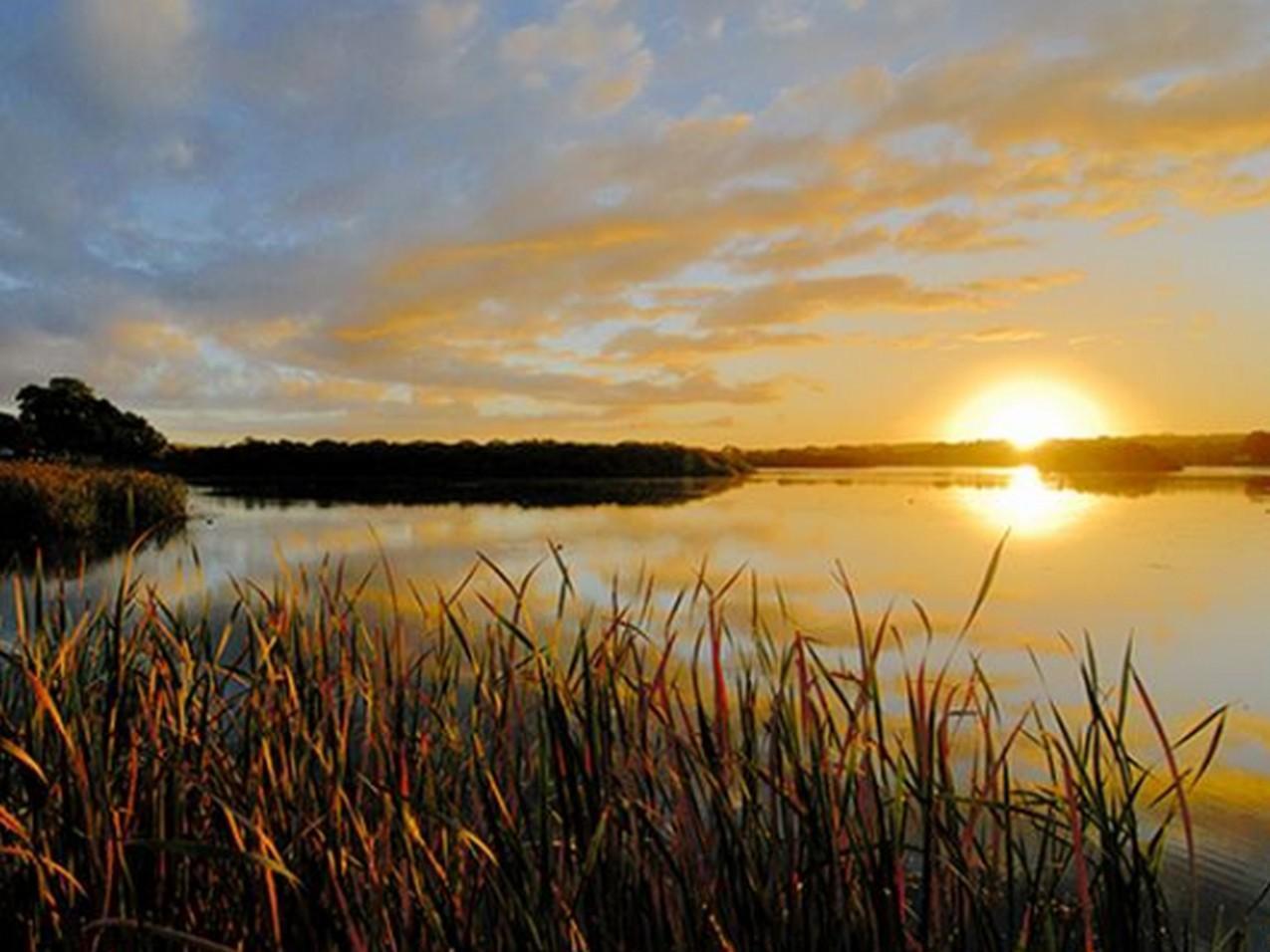 Riverview Rise Retreats Mannum Luaran gambar