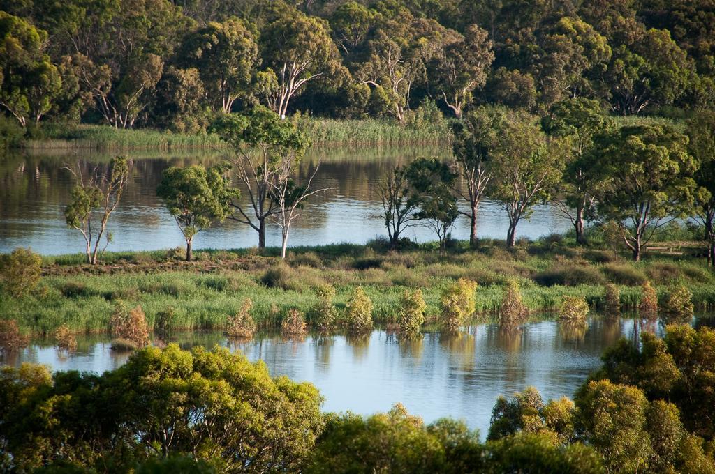 Riverview Rise Retreats Mannum Luaran gambar
