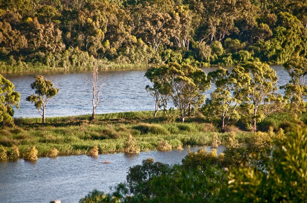 Riverview Rise Retreats Mannum Luaran gambar