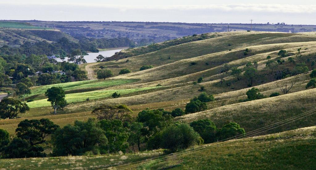 Riverview Rise Retreats Mannum Luaran gambar