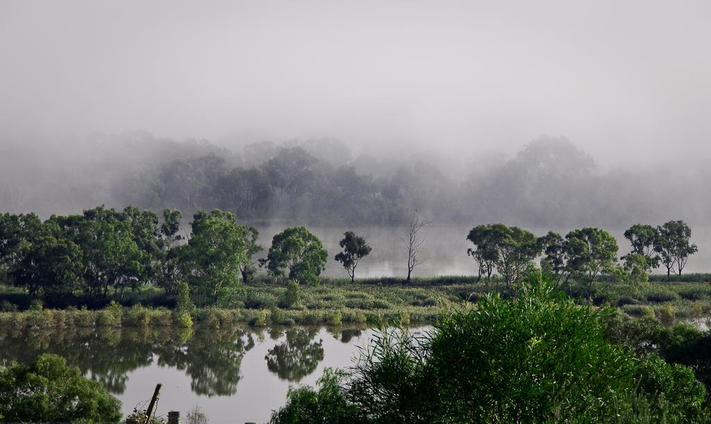 Riverview Rise Retreats Mannum Luaran gambar