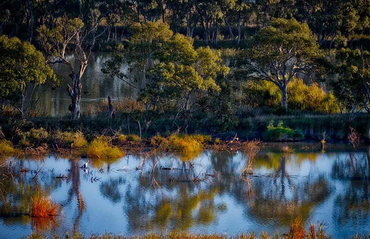 Riverview Rise Retreats Mannum Luaran gambar