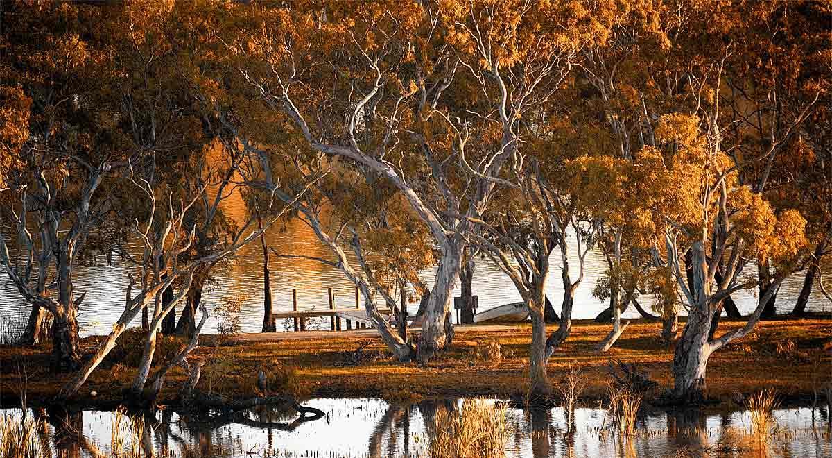 Riverview Rise Retreats Mannum Luaran gambar