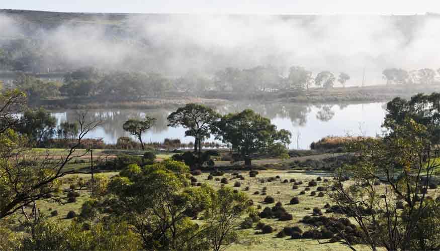 Riverview Rise Retreats Mannum Luaran gambar