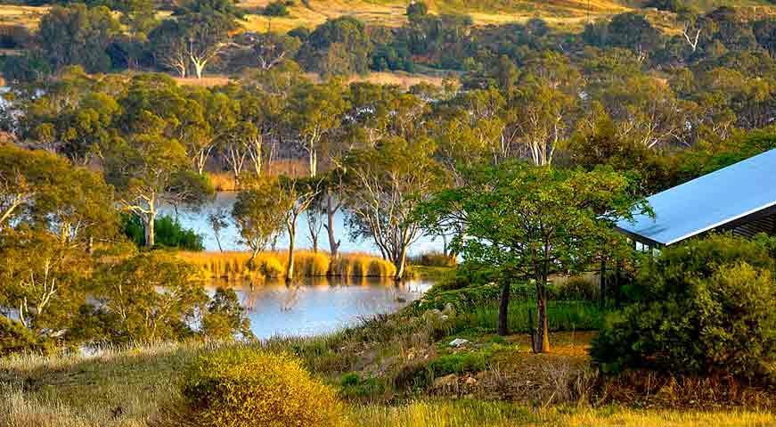 Riverview Rise Retreats Mannum Luaran gambar