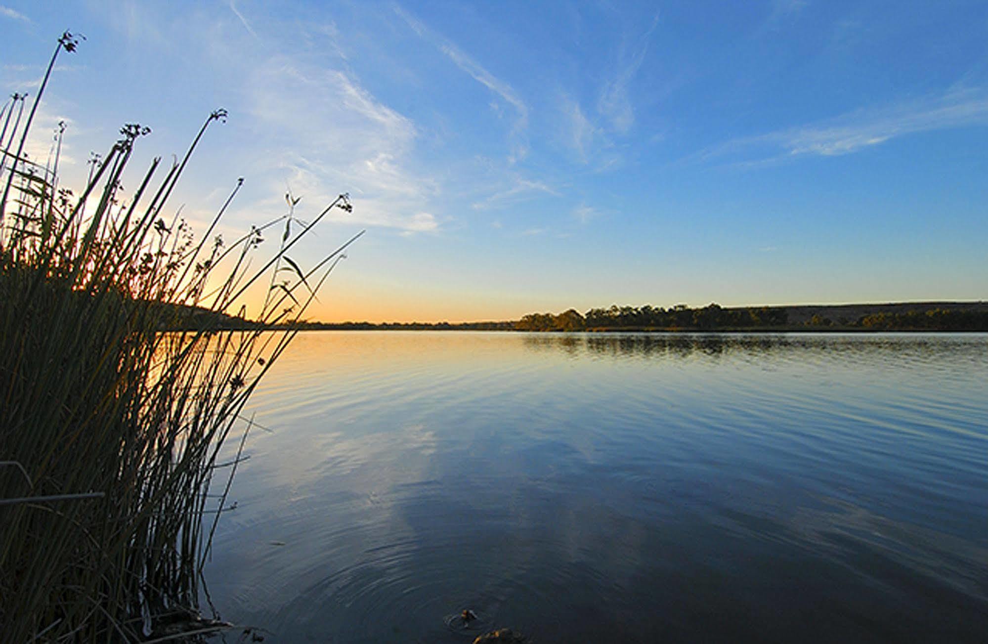Riverview Rise Retreats Mannum Luaran gambar