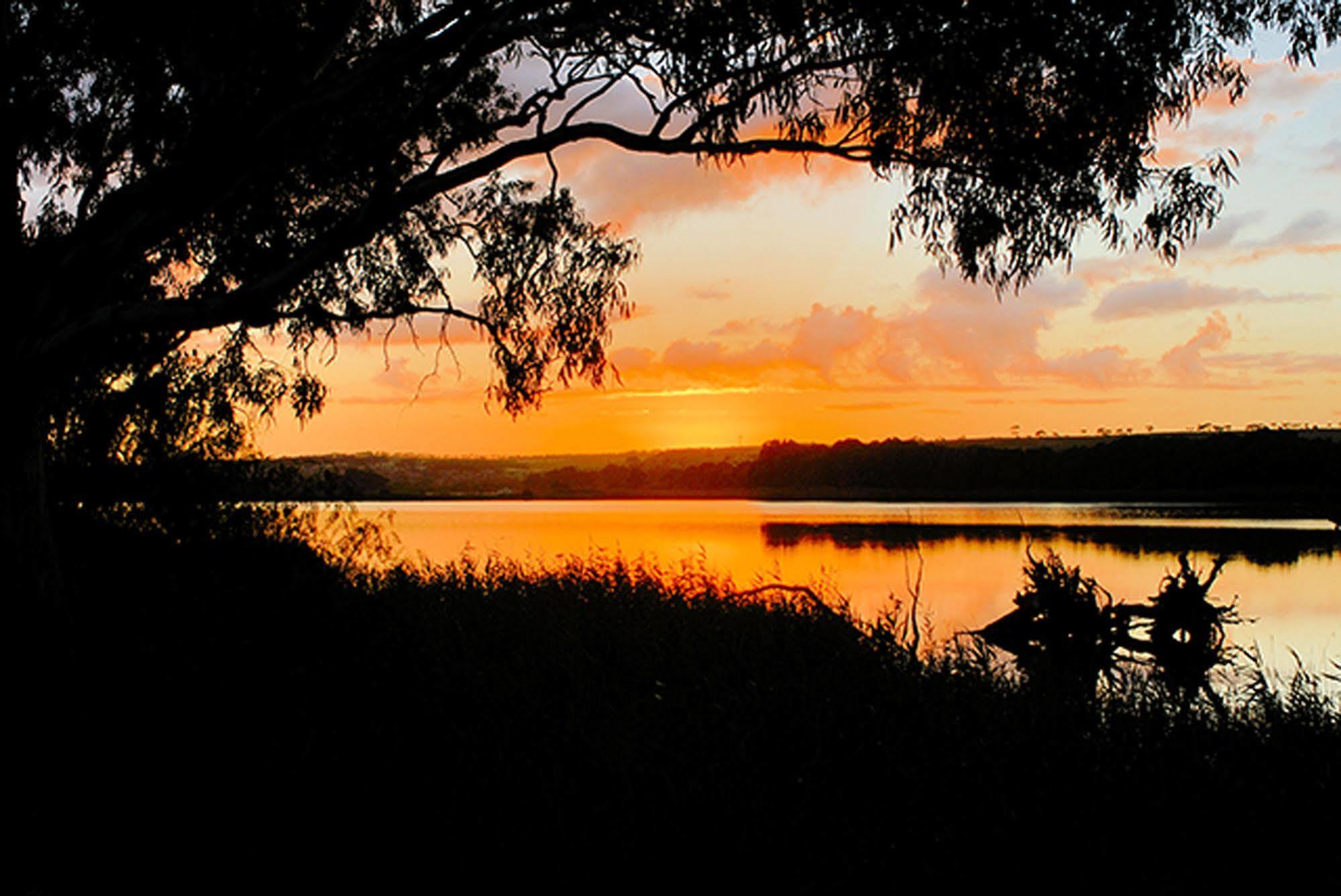 Riverview Rise Retreats Mannum Luaran gambar
